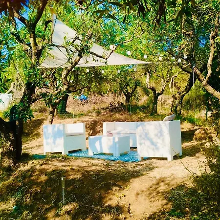 Casa Isabella- Barbecue, Giardino *